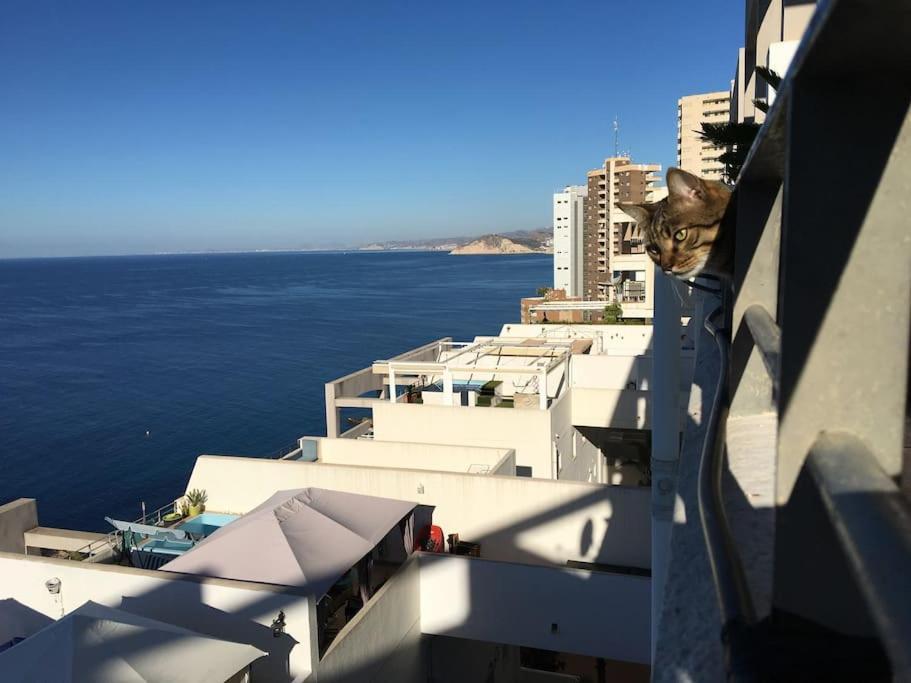Piso En La Primera Linea Del Mar Con 2 Dormitorios ベニドルム エクステリア 写真